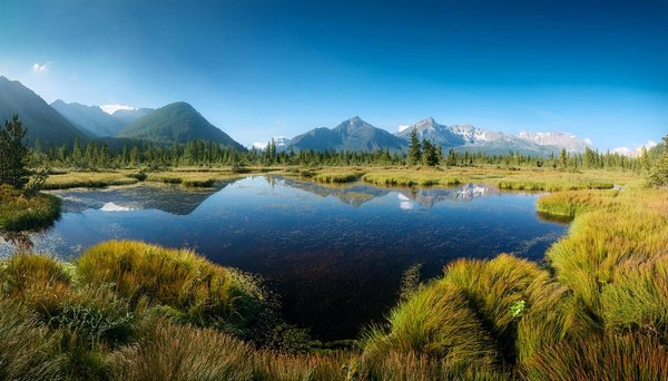 Comment organiser des vacances en Toscane avec des ateliers de peinture et des visites de musées?
